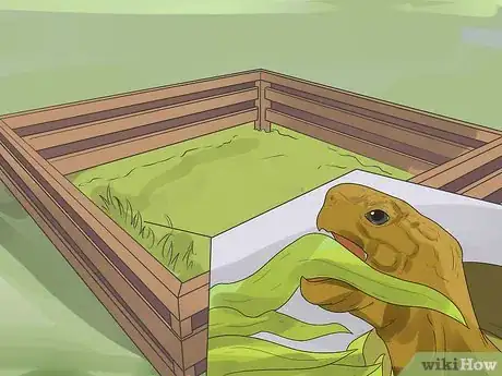 Imagen titulada Take Care of a Land Turtle Step 18