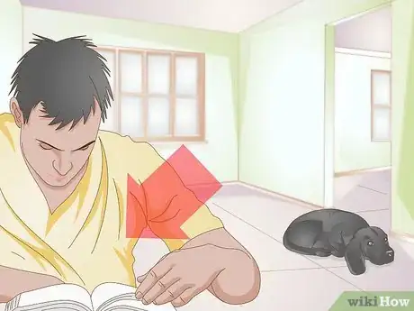 Imagen titulada Take a Dog's Blood Pressure Step 10
