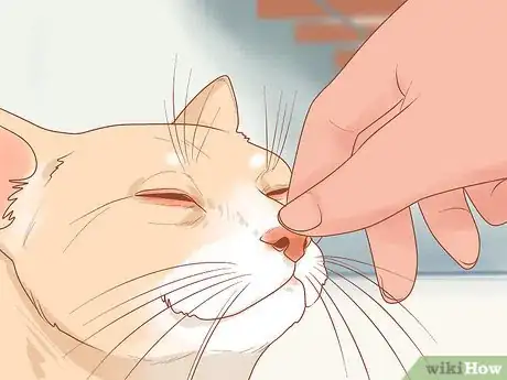Imagen titulada Stop Your Cat from Attacking Your Dog Step 19