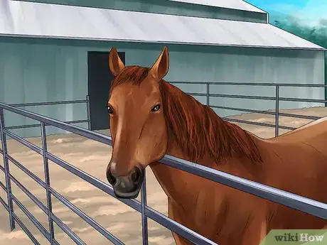 Imagen titulada Get Rid of Strongyle Infestations in Horses Step 6