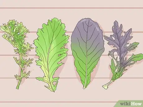 Imagen titulada Grow Mustard Greens Step 1