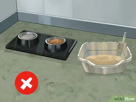 Imagen titulada Choose a Litter Box for Your Cat Step 5