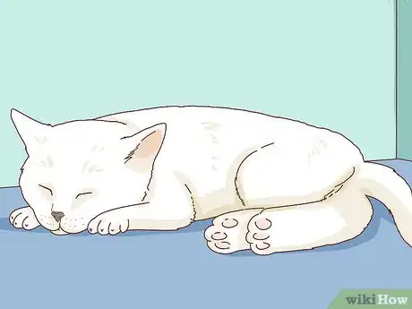 Imagen titulada Tell if Your Cat Is Depressed Step 4