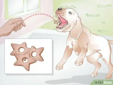 Imagen titulada Feed a Dog Step 11
