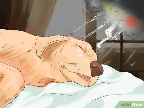 Imagen titulada Handle a Dog's Nightmares Step 5