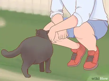 Imagen titulada Greet a Cat Step 3