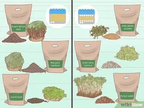 Imagen titulada Grow Microgreens Step 5