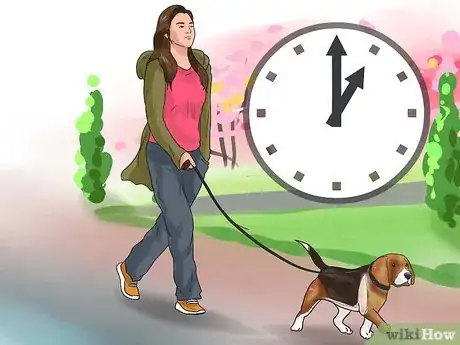 Imagen titulada Take Care of a Beagle Puppy Step 16