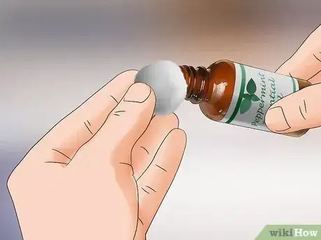 Imagen titulada Control Fleas by Using Peppermint Step 12