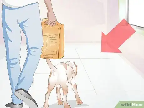 Imagen titulada Feed a Dog Step 12
