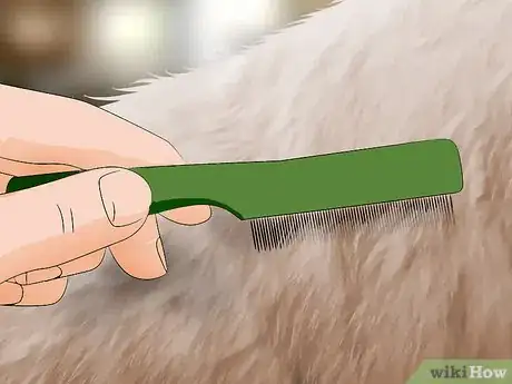 Imagen titulada Get Rid of Dust Mites Step 16