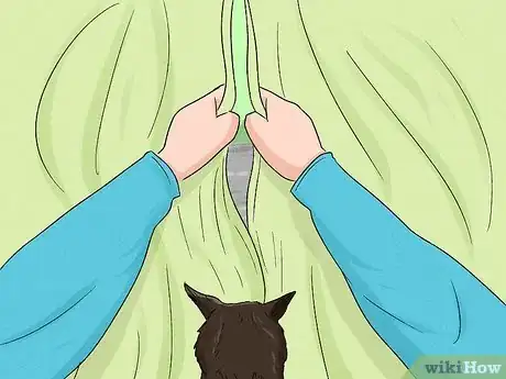 Imagen titulada Stop an Older Cat from Attacking a Kitten Step 4