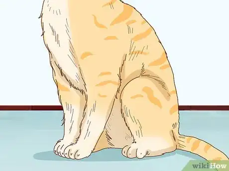 Imagen titulada Tell if Your Cat Is Depressed Step 7