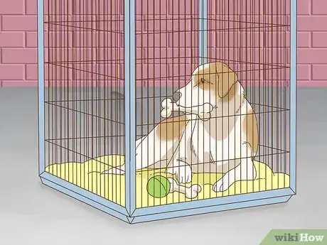 Imagen titulada Care for a Dog With a Broken or Fractured Pelvis Step 3