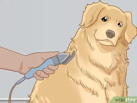 Imagen titulada Get Rid of Ringworm in Dogs Step 4