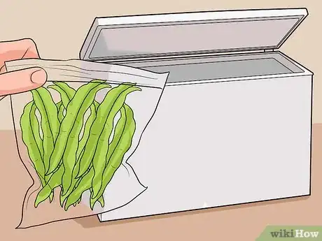 Imagen titulada Grow a Bean Plant Step 16