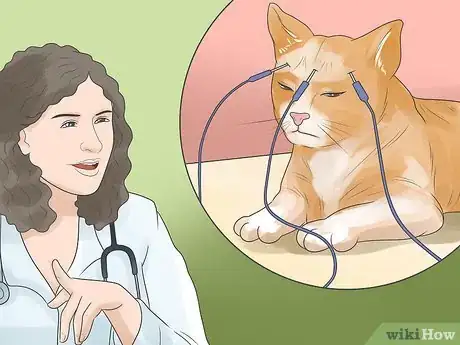 Imagen titulada Tell if Your Cat Is Deaf Step 5