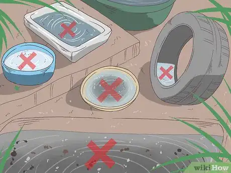 Imagen titulada Keep Mosquitoes Away at Night Step 1