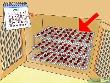 Imagen titulada Preserve Rose Petals Step 8