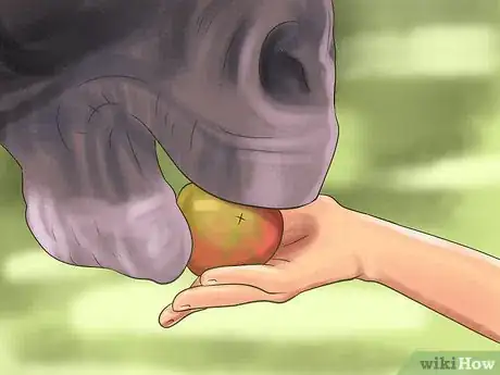 Imagen titulada Ride a Horse For the First Time (Kids) Step 12