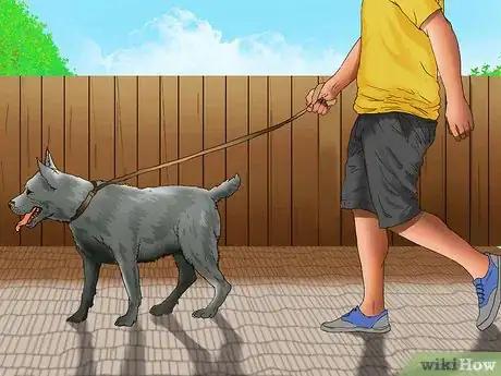 Imagen titulada Start a Dog Walking Service Step 3