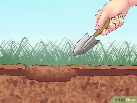 Imagen titulada Catch Moles Step 8
