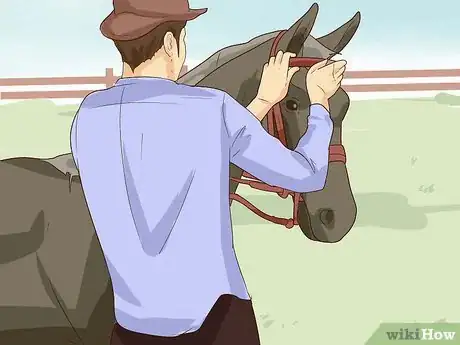 Imagen titulada Break a Horse Step 10