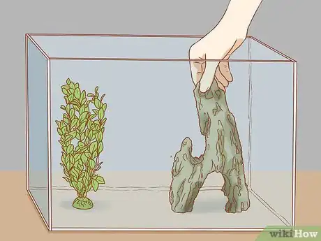Imagen titulada Sanitize a Fish Tank Step 11