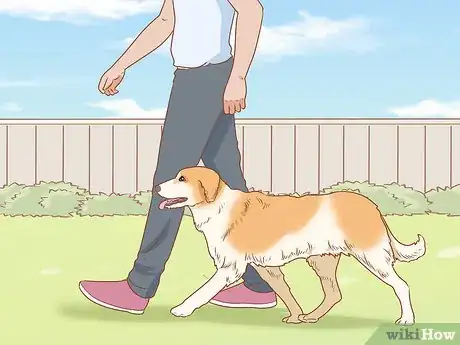 Imagen titulada Treat Your Dog Step 3