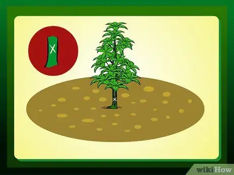 Imagen titulada Replant a Tree Step 4