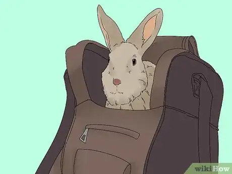 Imagen titulada Pick up a Rabbit Step 13