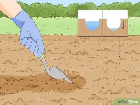 Imagen titulada Grow Nasturtiums Step 4