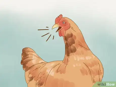 Imagen titulada Tell if a Chicken is Sick Step 9