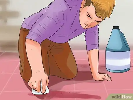 Imagen titulada Prevent Parvovirus in Dogs Step 5