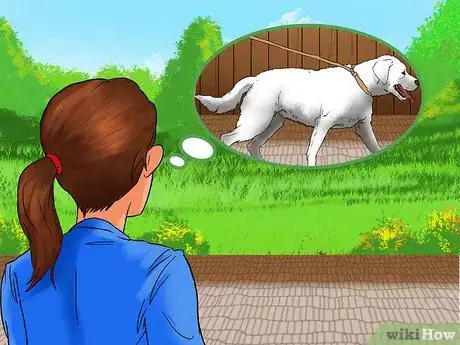 Imagen titulada Start a Dog Walking Service Step 4
