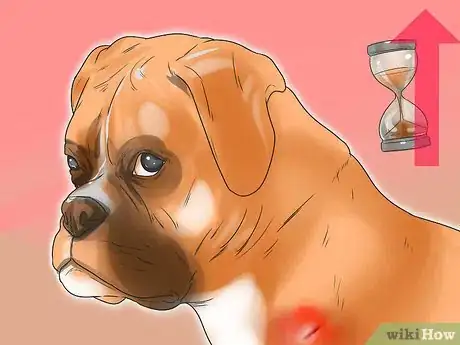 Imagen titulada Treat Mast Cell Tumors in Boxers Step 5