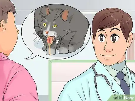 Imagen titulada Treat Feline Regurgitation Step 6