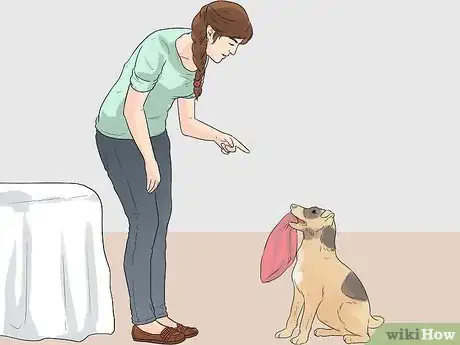 Imagen titulada Encourage Your Dog to Sleep in Your Bed Step 8
