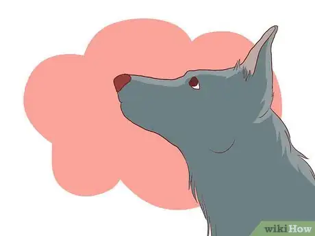 Imagen titulada Help Your Dog Deal with the Death of Another Dog Step 4