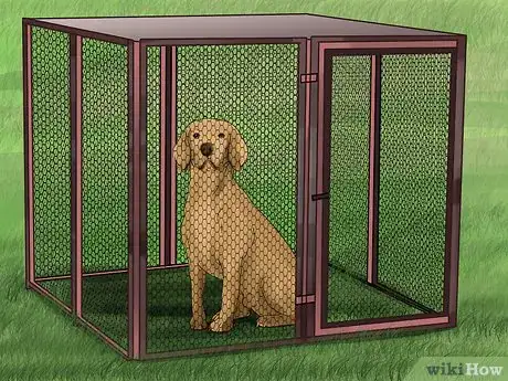 Imagen titulada Treat a Dog for Rabies Step 8