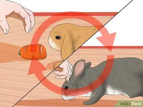 Imagen titulada Care for a House Rabbit Step 27