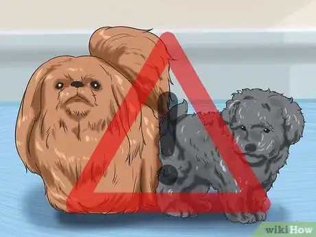 Imagen titulada Prevent Parvovirus in Dogs Step 6