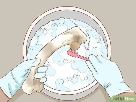 Imagen titulada Clean Bones Step 9