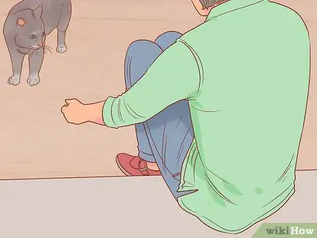 Imagen titulada Greet a Cat Step 6
