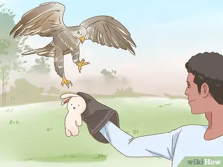 Imagen titulada Train Your First Falcon Step 10