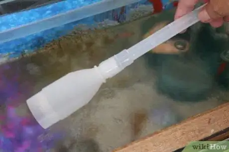 Imagen titulada Start a Siphon (Fish Tank) Step 6