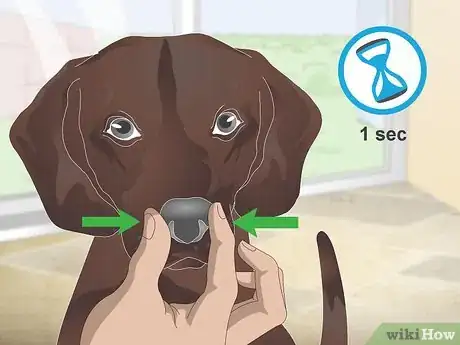 Imagen titulada Stop Reverse Sneezing in Dogs Step 3