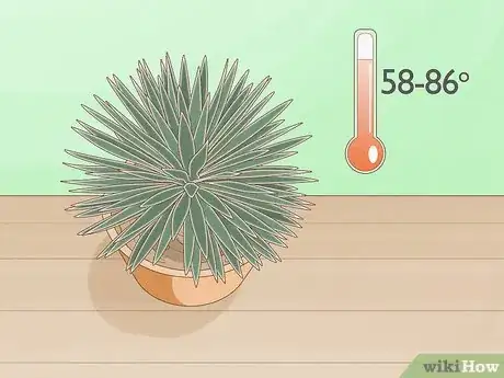 Imagen titulada Keep Variegation in Plants Step 4