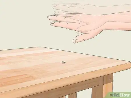 Imagen titulada Catch a Fly With Your Hands Step 7