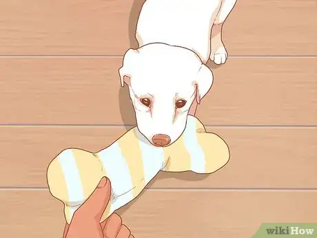 Imagen titulada Introduce a New Puppy to the Resident Cat Step 10